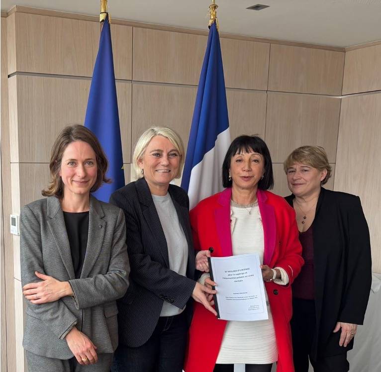 Remise du rapport intervention précoce en santé mentale le 12 février 2026