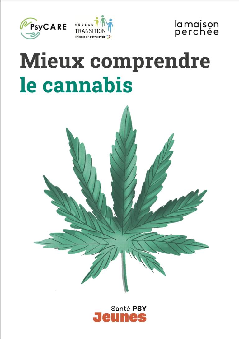Mieux comprendre le cannabis vignette