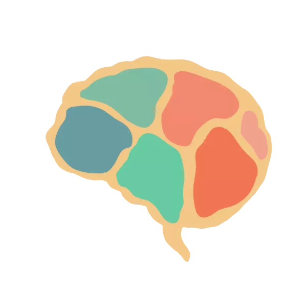- cerveau.png