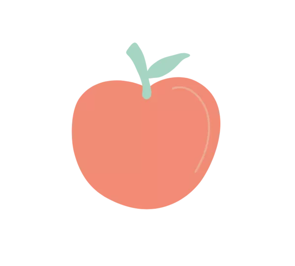 - alimentation-2.png